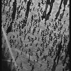 Lange Schatten auf dem Markusplatz