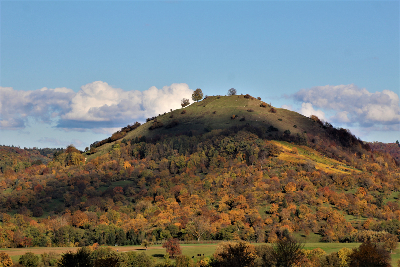 lange Schatten auf den schwäbischen Hügeln 