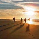 Lange Schatten auf Langeoog   . . .