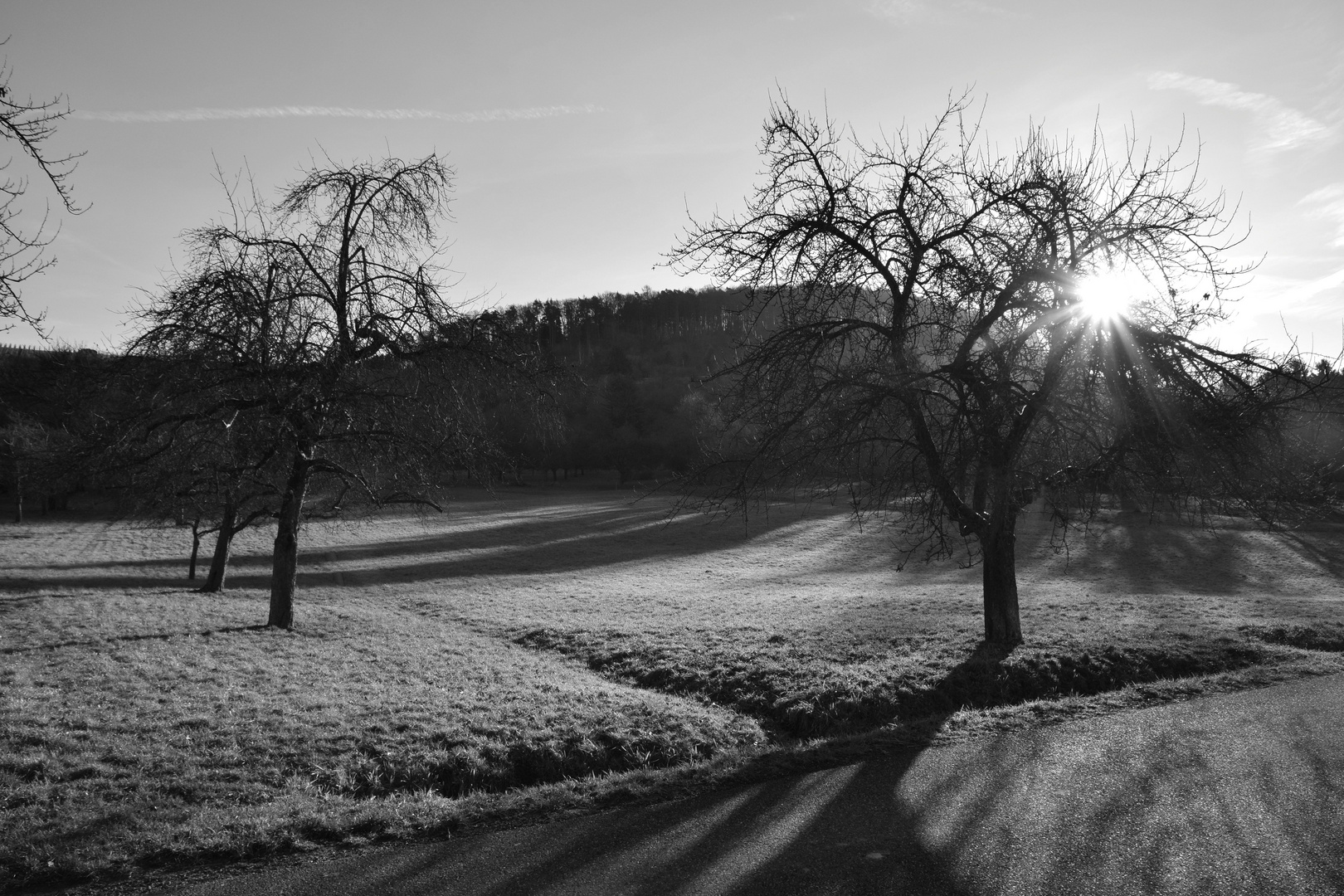 Lange Schatten