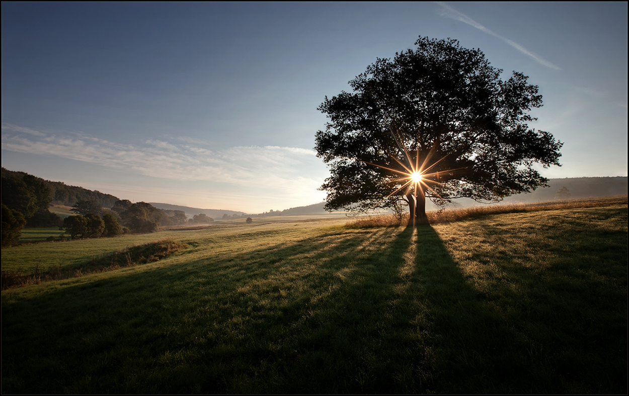 lange Schatten