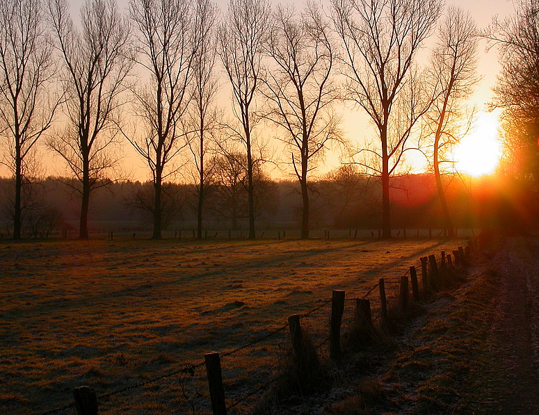 ...lange Schatten...