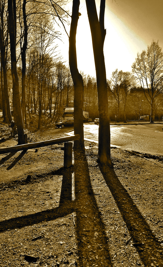 ….lange Schatten…...