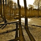 ….lange Schatten…...