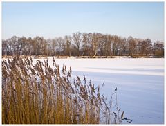 Lange Schatten