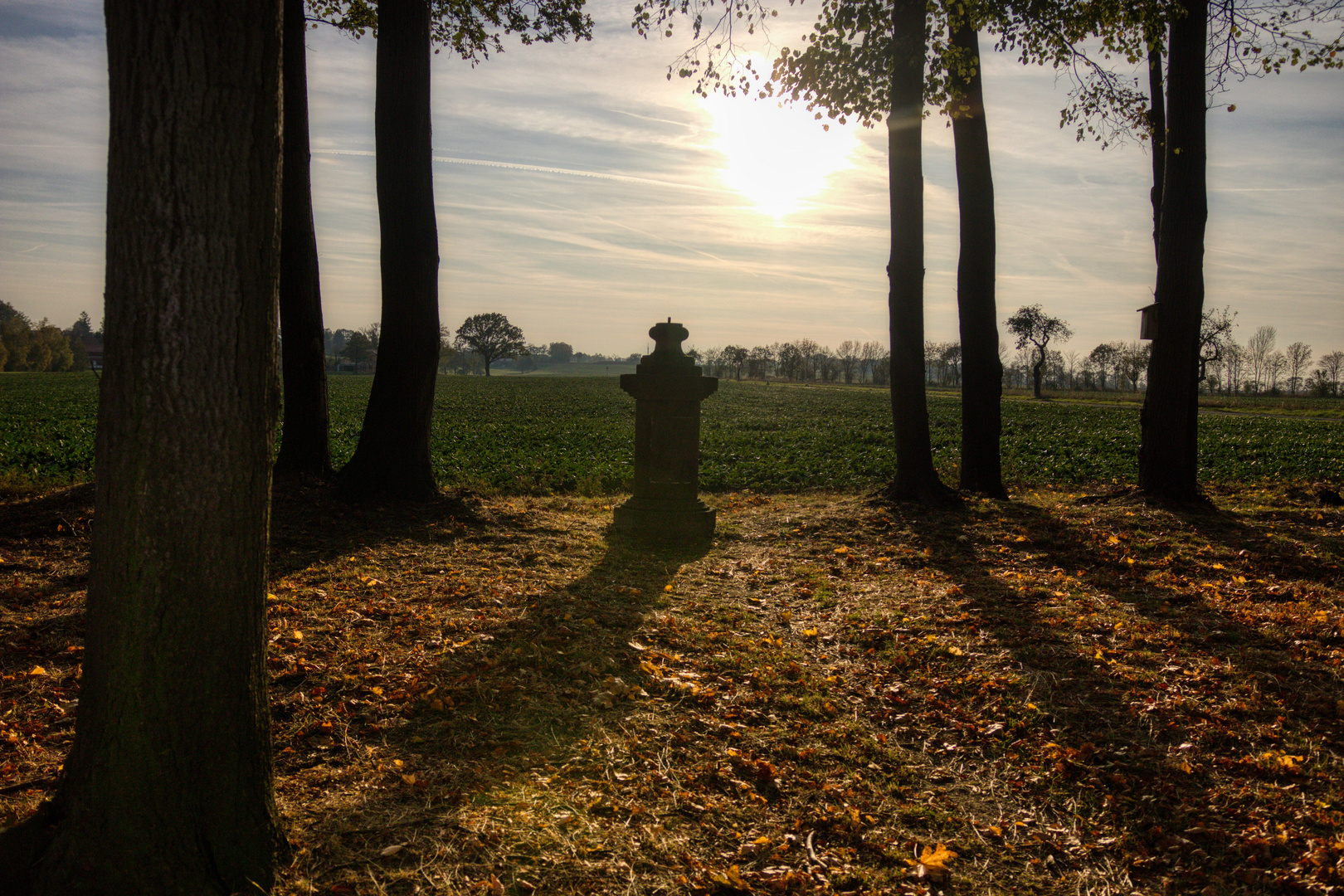 LANGE SCHATTEN...