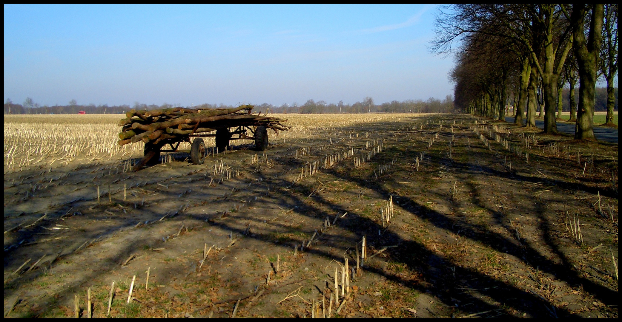 Lange Schatten