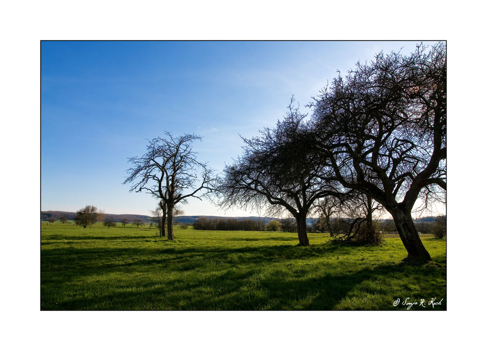 Lange Schatten