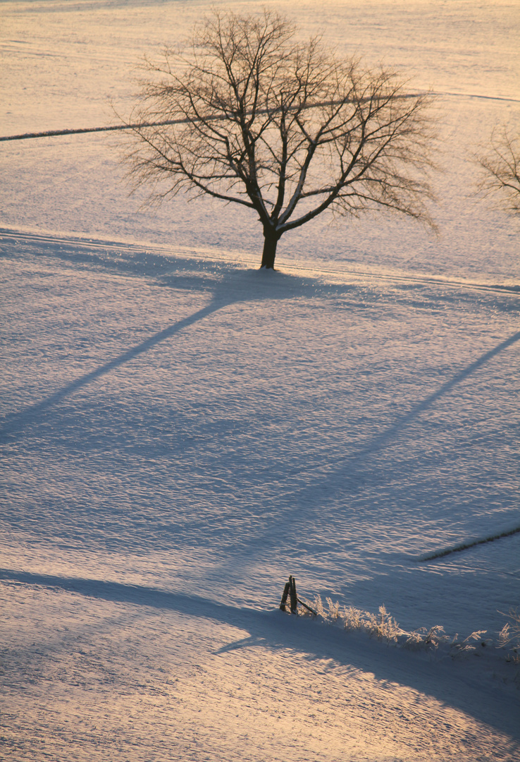 lange Schatten