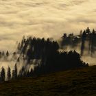 Lange Schatten der Herbstsonne