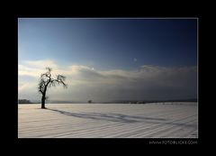 Lange Schatten