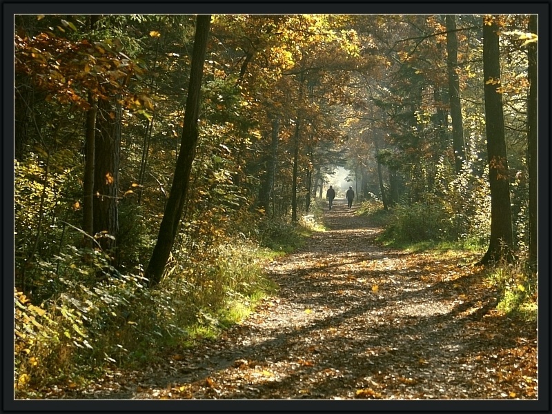 lange Schatten ...