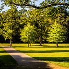 Lange Schatten Ende Mai