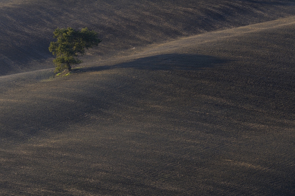 lange Schatten