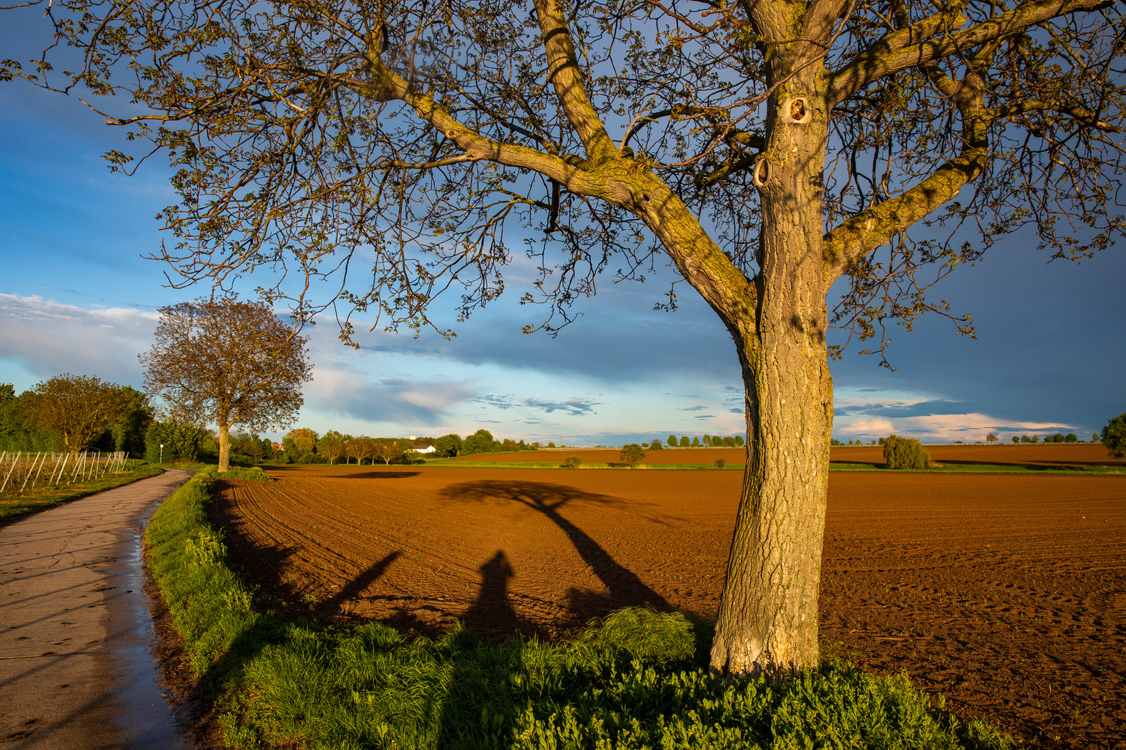 Lange Schatten