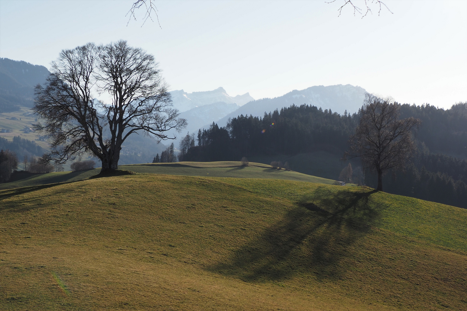 lange Schatten