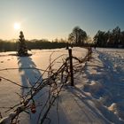 Lange Schatten