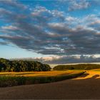 … Lange Schatten … freundlich vermittelt …