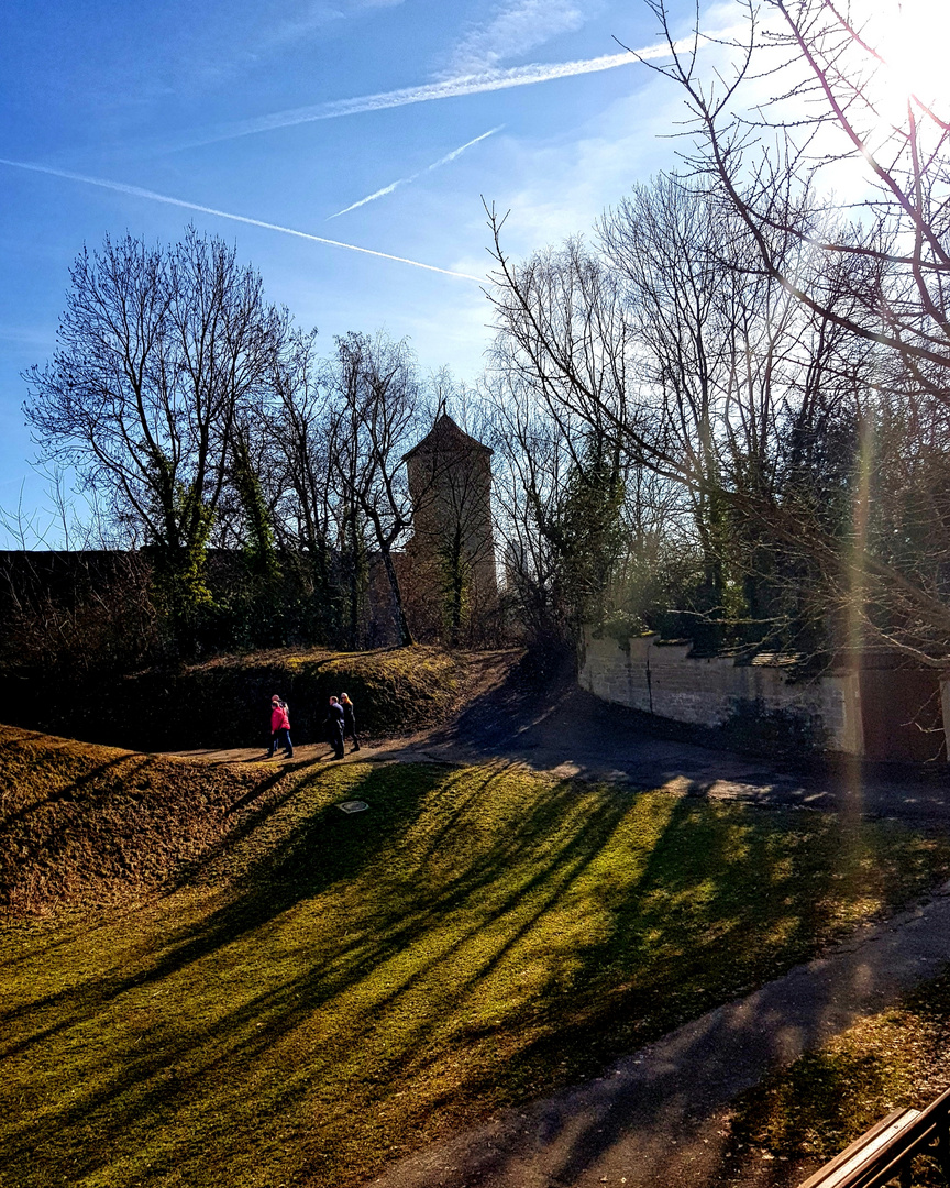 Lange Schatten: Frühlingstag im Winter