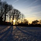 lange Schatten im Jenischpark