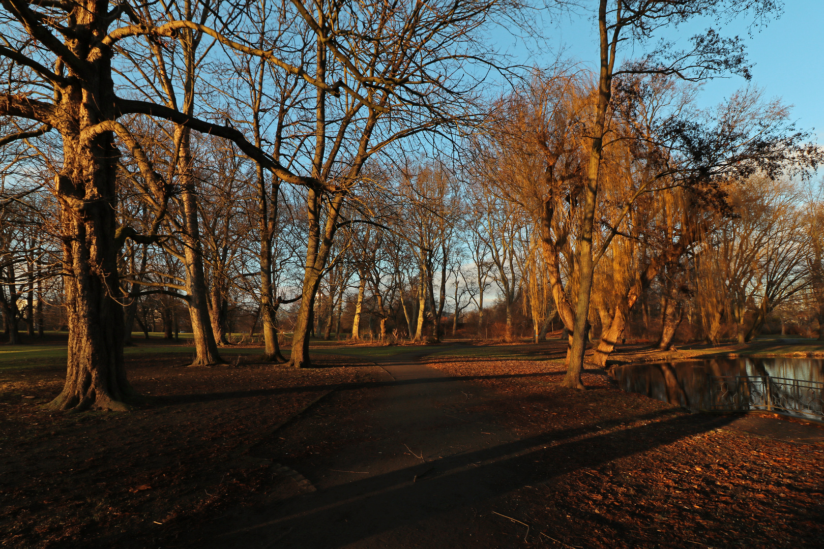 Lange Schatten im Park