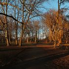 Lange Schatten im Park