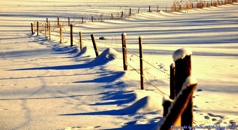 Lange Schatten im Schnee von Helmut Wolfgang