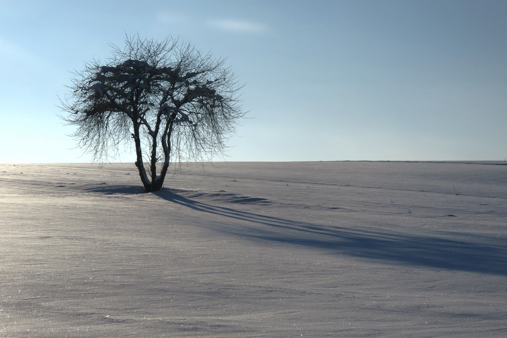 Lange Schatten im Schnee