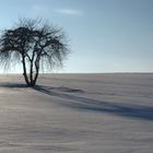 Lange Schatten im Schnee