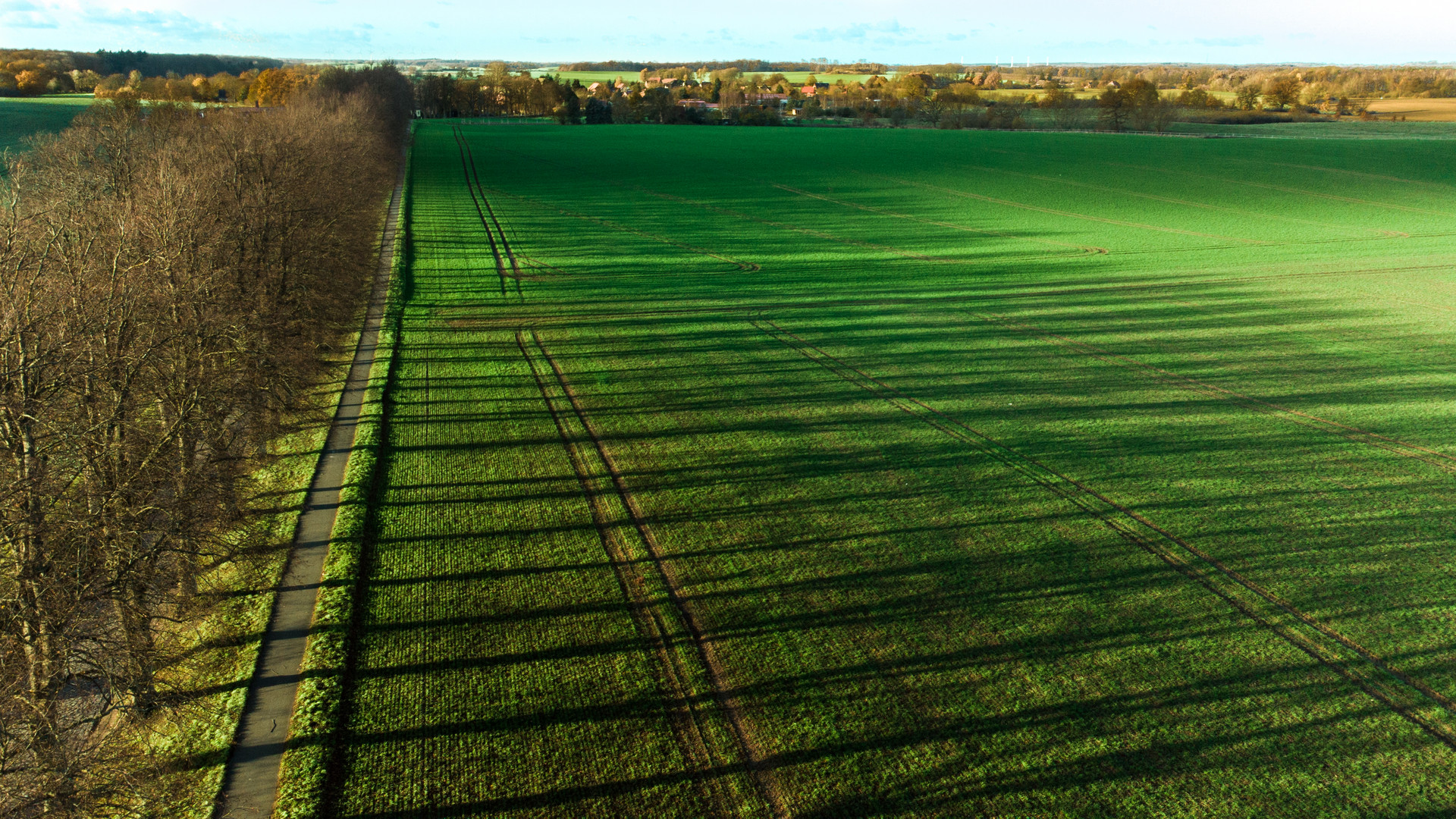 Lange Schatten in der Abendsonne