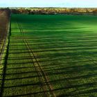 Lange Schatten in der Abendsonne