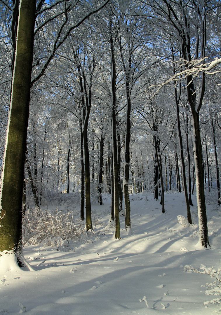 lange Schatten später Tag