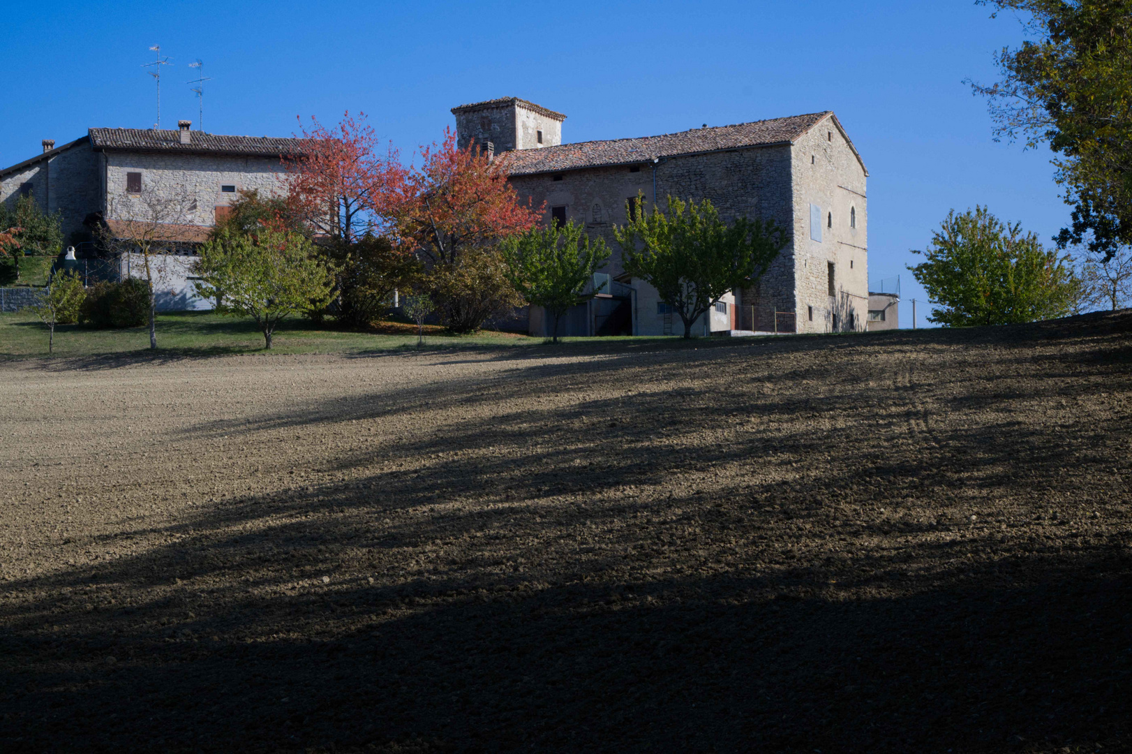 Lange Schatten über dem Feld