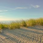 Lange Schatten über den Spuren des Windes