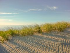 Lange Schatten über den Spuren des Windes