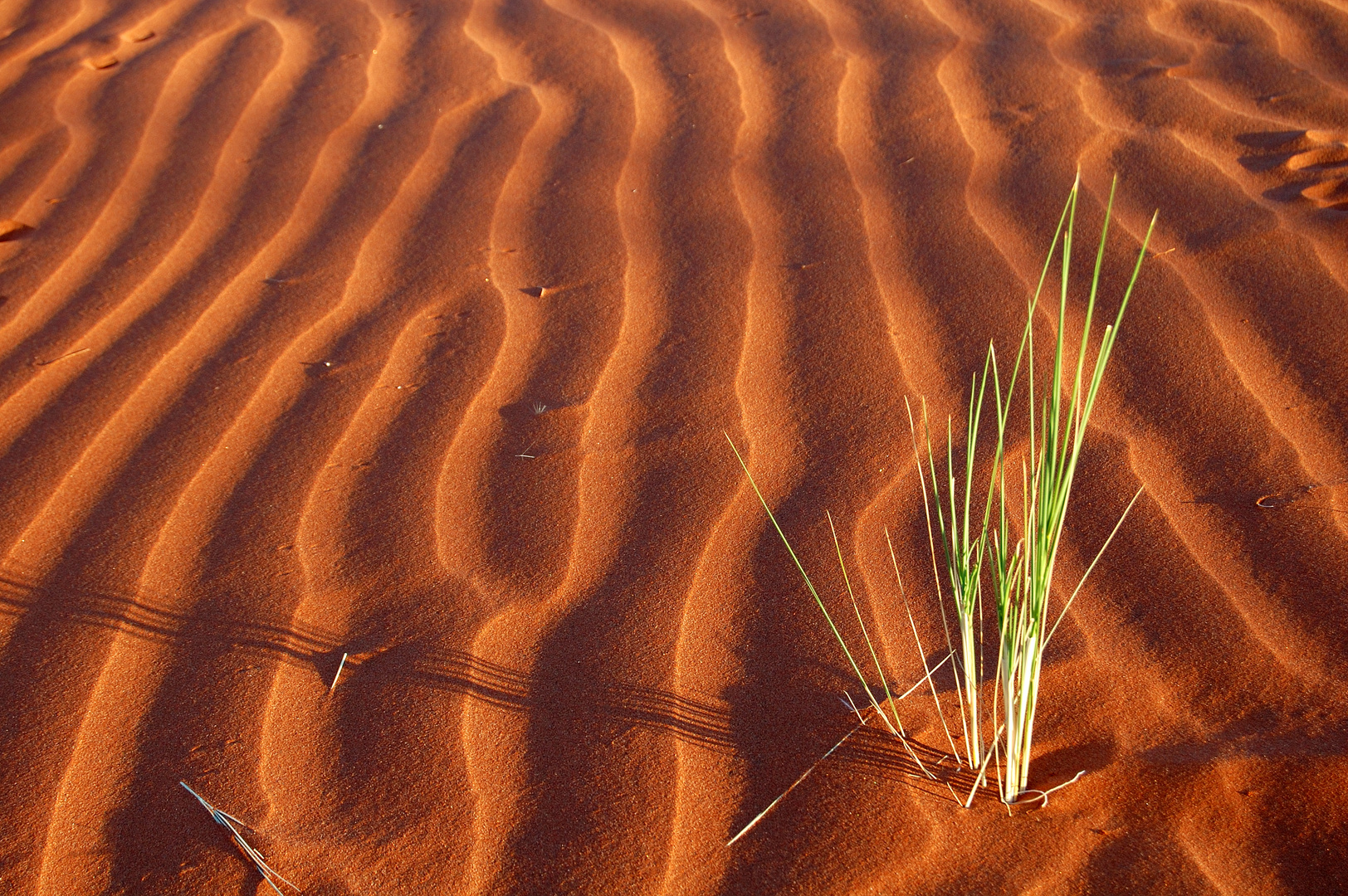 Lange Schatten, zarte Wellen