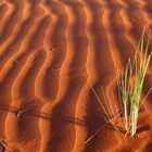 Lange Schatten, zarte Wellen