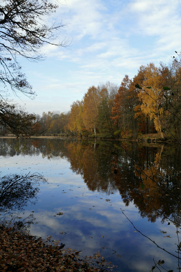 Lange Teich