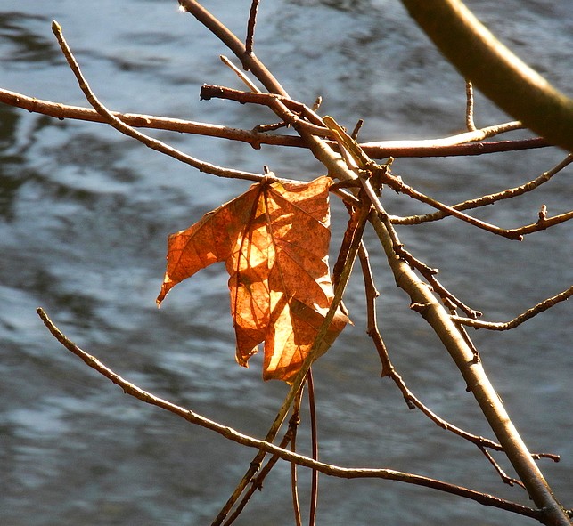 . . . lange über Wasser . . .