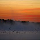 lange vor Sonnenaufgang