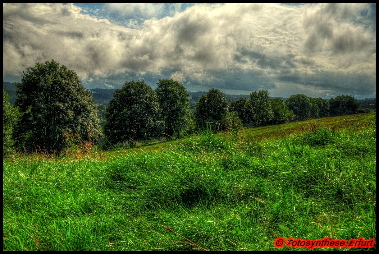 Lange Wiesen in Langewiesen