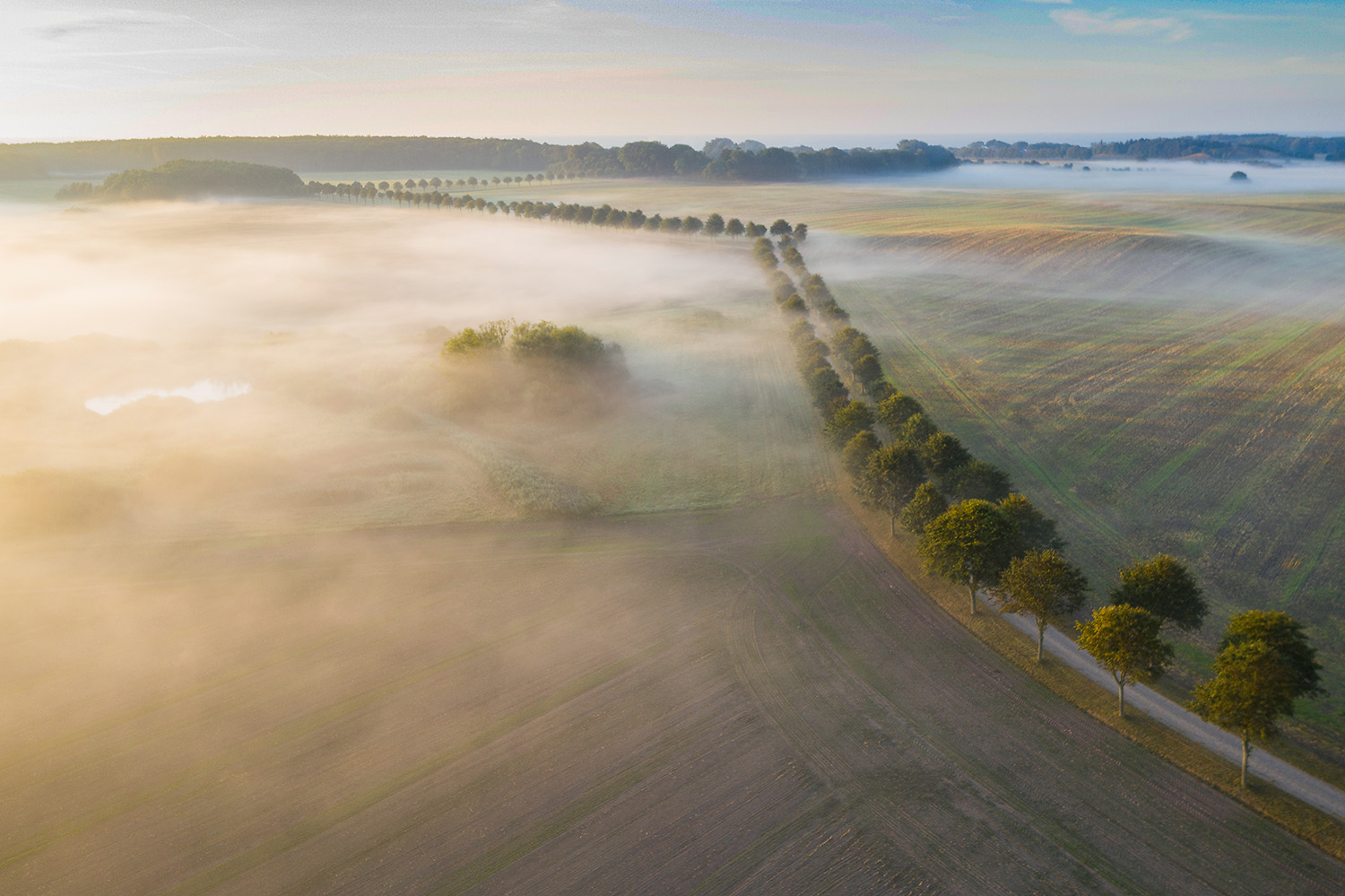 Langeland am Morgen