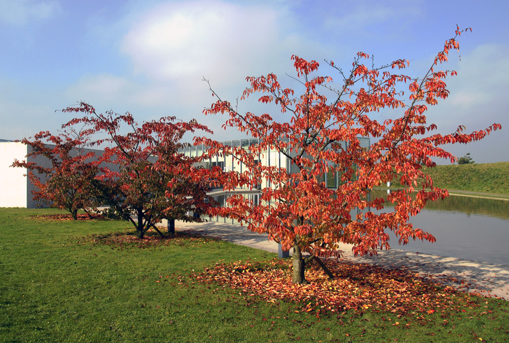 Langen Foundation