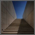 Langen Foundation art museum designed by Tadao Ando - Stairway to heaven