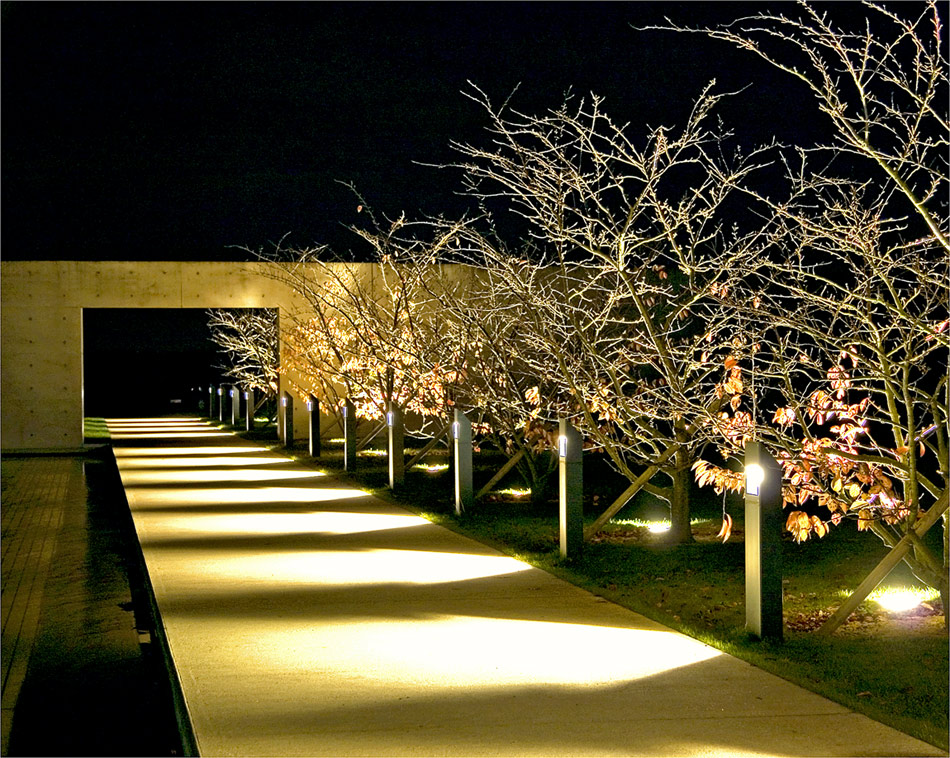 LANGEN FOUNDATION AT NIGHT