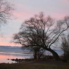 Langenargen am Bodensee