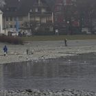 Langenargen - Aufenthalt am Bodensee