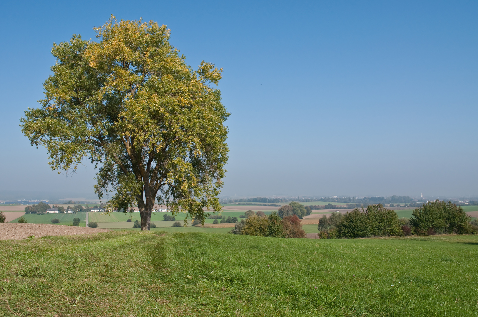 Langenau