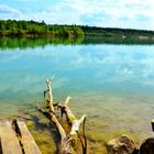 Langener Waldsee