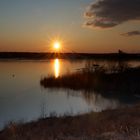 Langener Waldsee im Sonnenuntergang